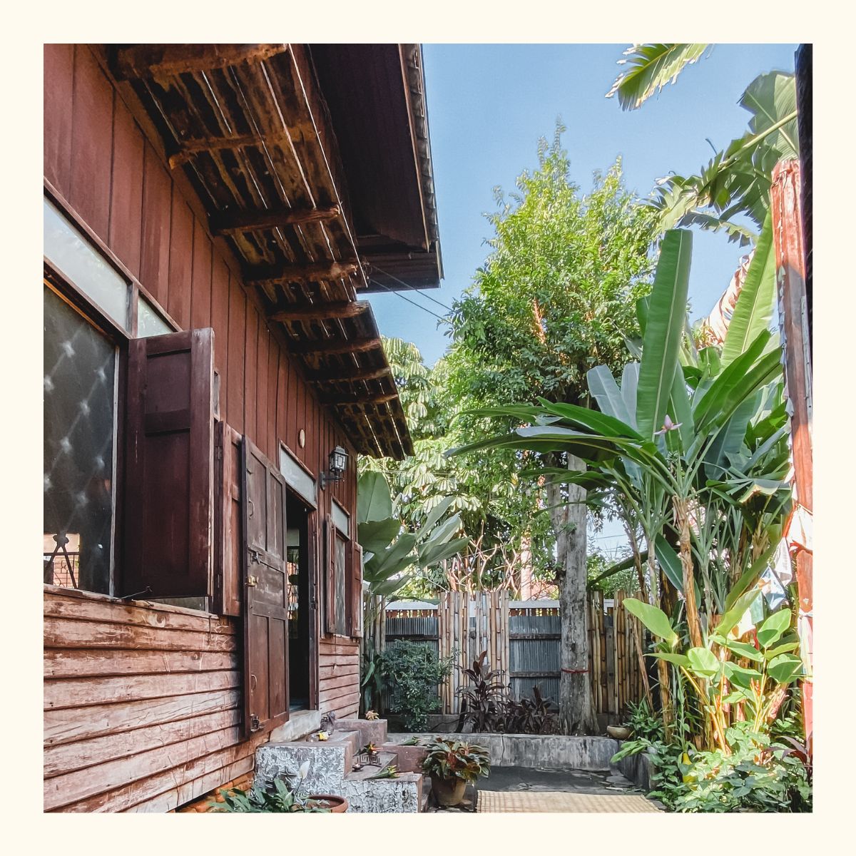 Joyful practice at Wild Rose Yoga in the heart of Chiang Mai